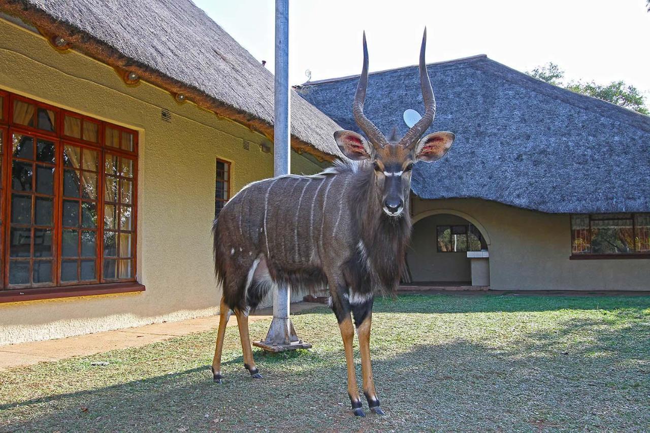 Villa Fish Eagle Guest Farm Phalaborwa Exterior foto